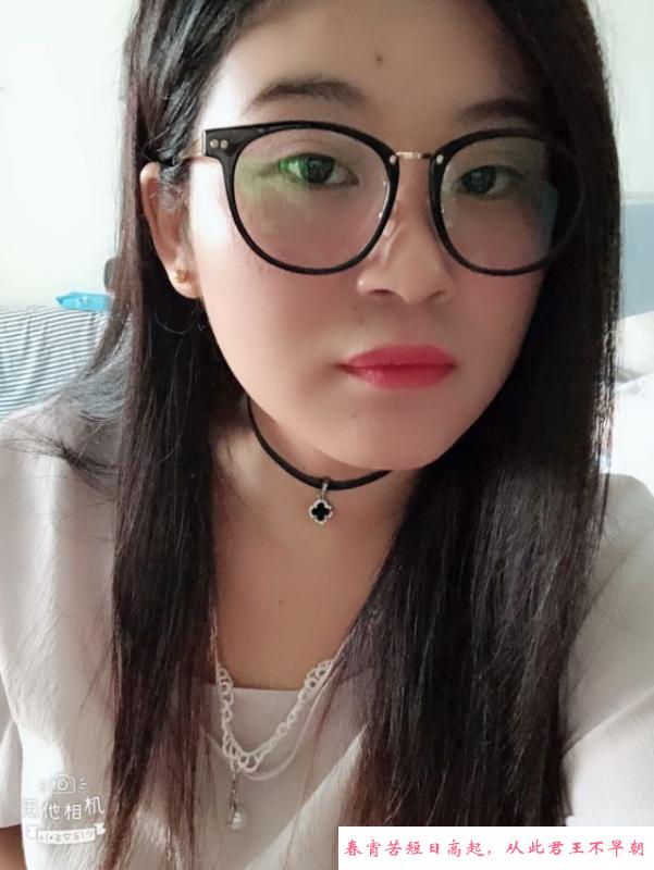 合肥服务小浪浪 第2张