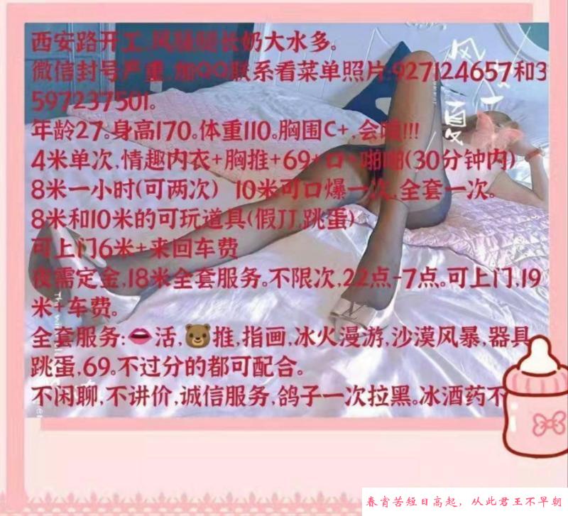 大连西安路小狐狸 第3张