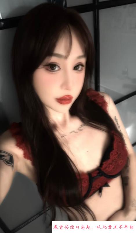 大连cd美人妖 第1张