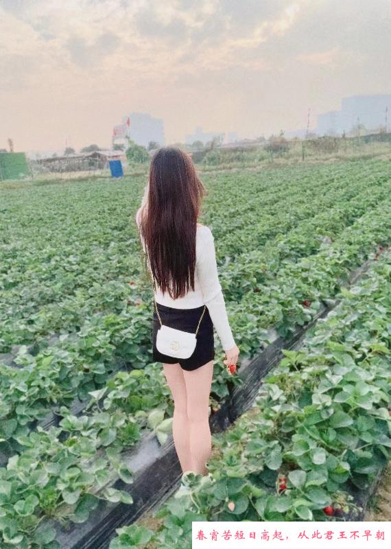 广州长腿小姐姐 第3张