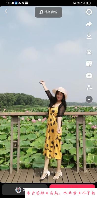 老凤返食 第2张