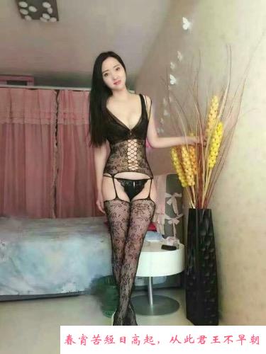 性感向日葵 第1张