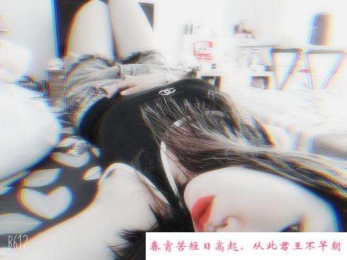 临沂美人海棠 第1张