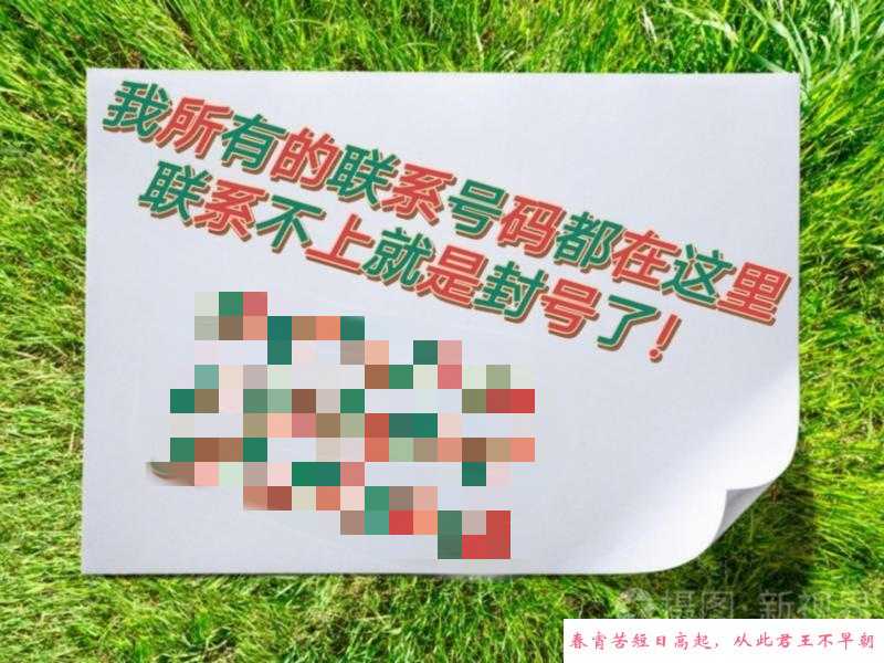 包河仙女 第3张