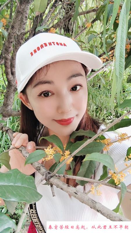 福田温柔少妇 第2张