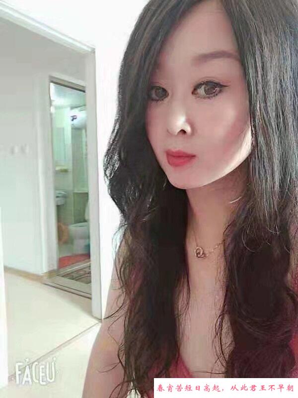 铁西骚熟女 第1张