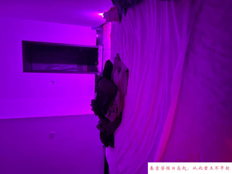 桂花公园梦梦 第1张