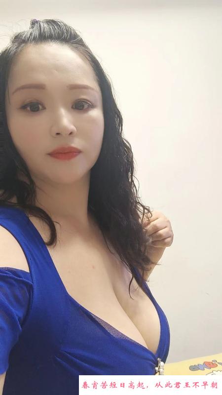 宝安奶牛文文 第3张