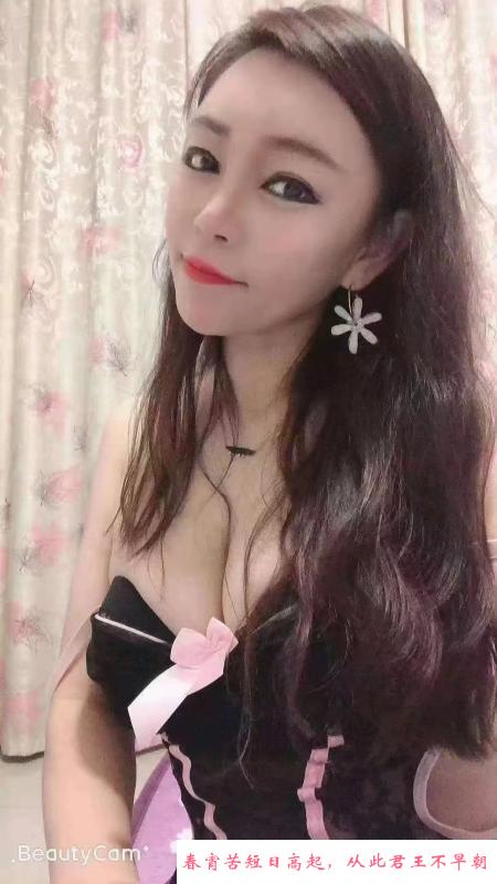 宝安翻身小肥猫 第4张
