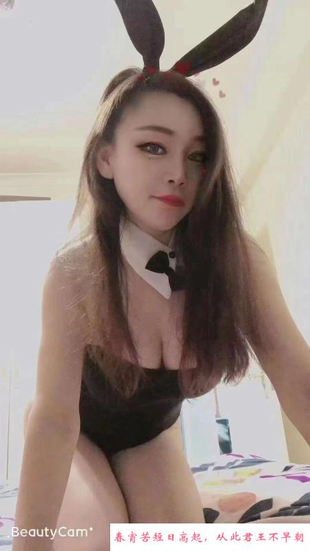 翻身小飞猫 第1张