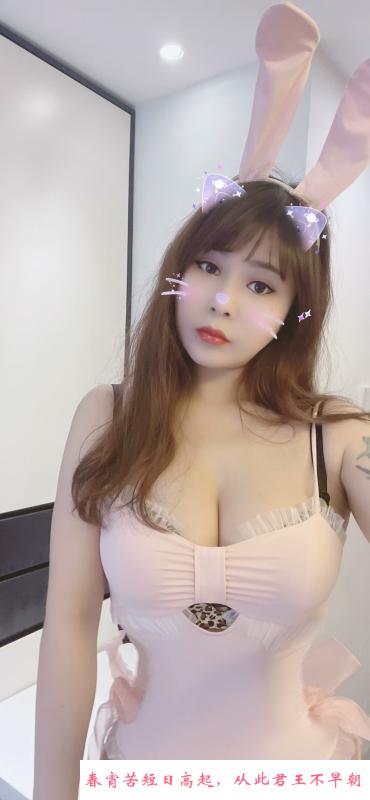 小乖乖性价比 第1张