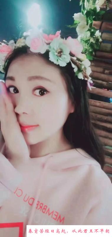 沧州大胸性价比 第1张
