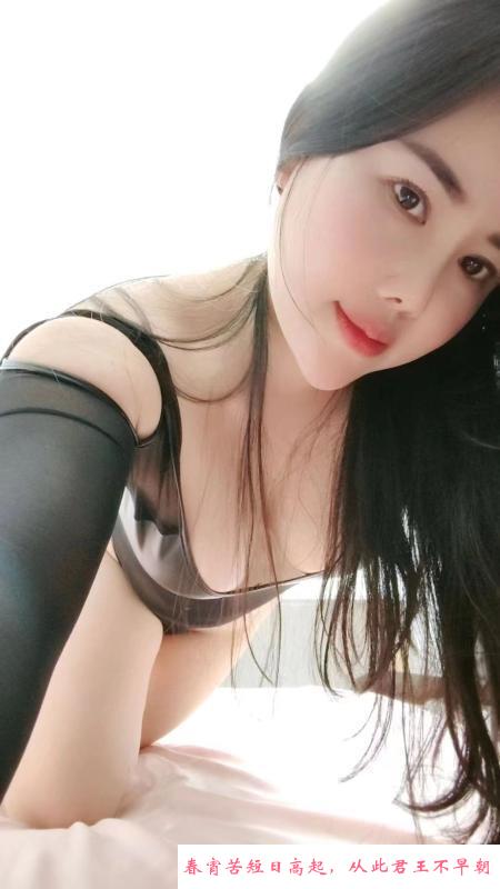 西丽D杯狐狸 第3张