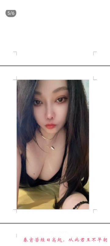 秦淮兔子 第1张