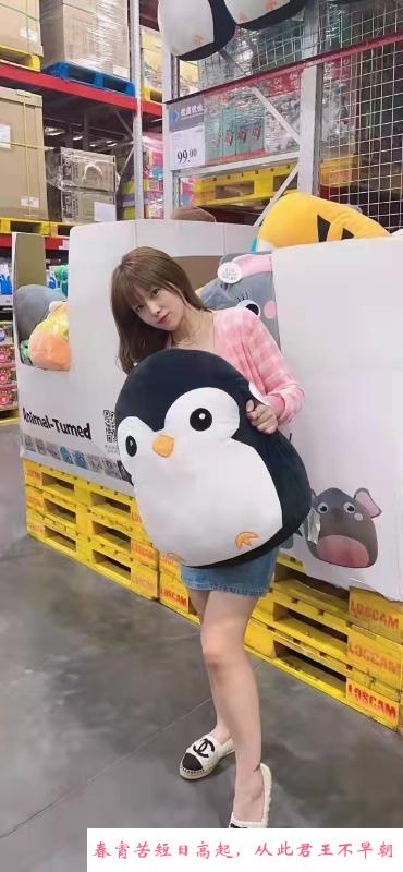性感御姐 第1张
