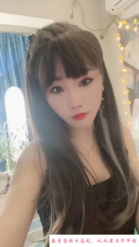 郑州电动小马达 第2张