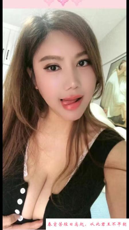 杨家湾大胸梧桐雨 第1张