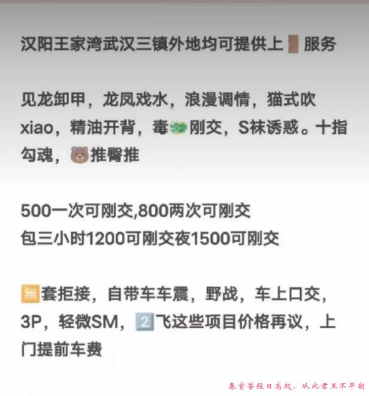 汉阳性感可三通老师 第3张