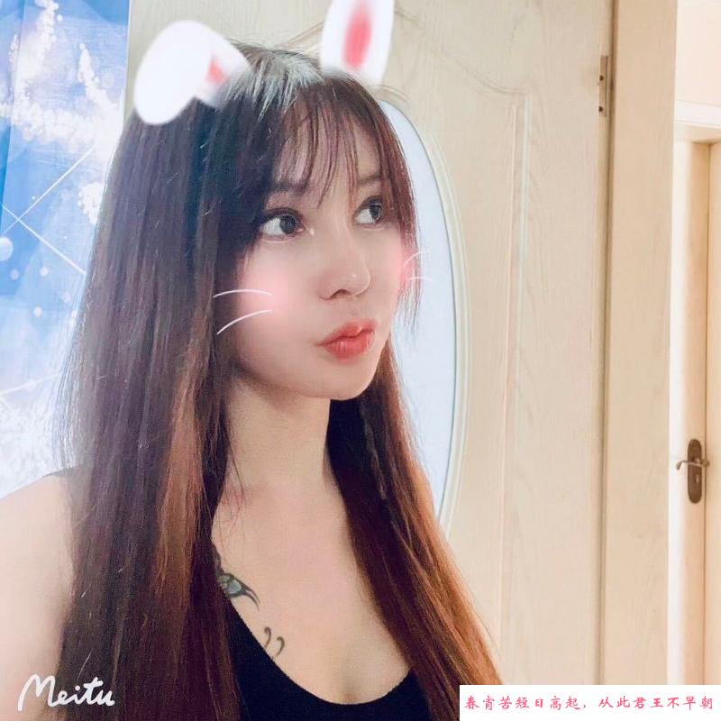 服务系凤楼 第1张