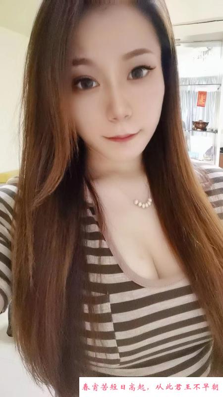 龙华丹丹 第4张
