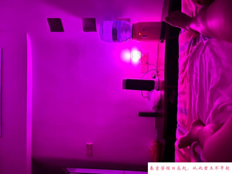 体验海珠妃妃 第1张