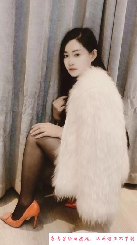 幕府轻熟女 第1张