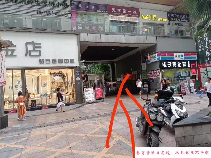 南岸骚气少妇 第1张