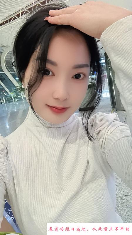 白玫瑰 第3张