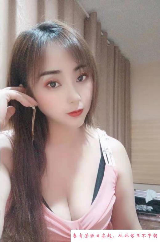 闵行服务系布丁 第1张