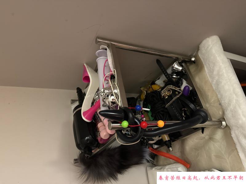 武侯女奴女王 第2张