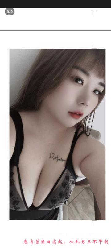 河东小坦克 第1张