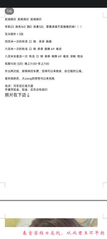 河东小坦克 第2张