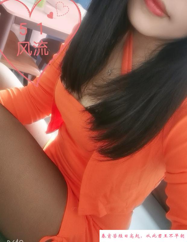树木岭小狐狸 第1张