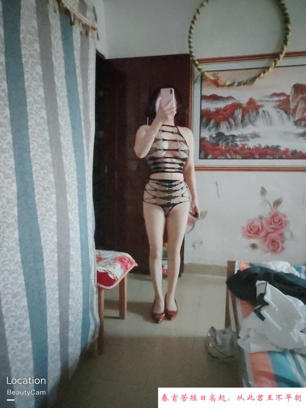 海珠玉兰 第1张