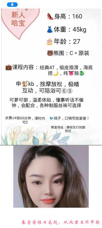 上海哈宝 第3张