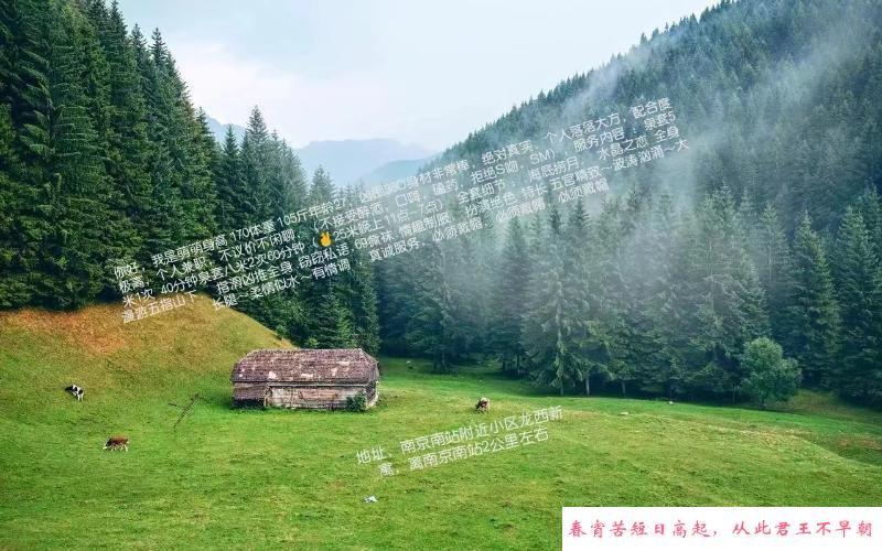 南站萌萌 第2张