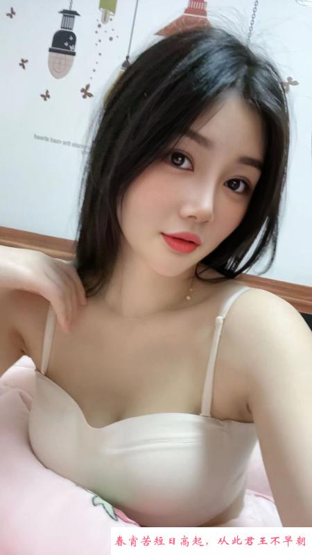 罗湖猫儿 第1张