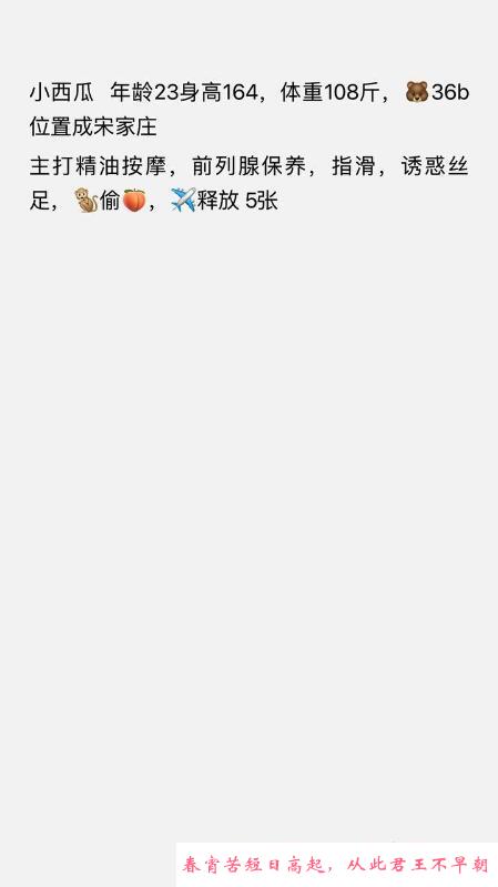 宋家庄环保小西瓜 第4张