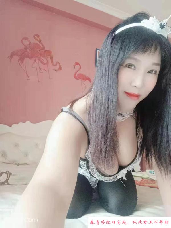 沈北大姐 第1张