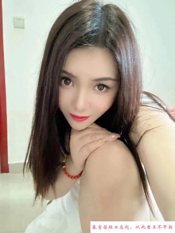 广州黄埔燕子 第3张