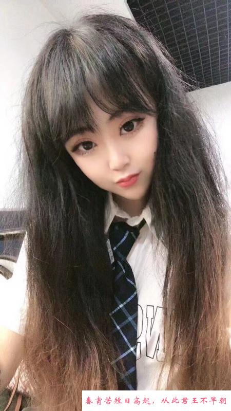 沈阳小狐狸 第1张