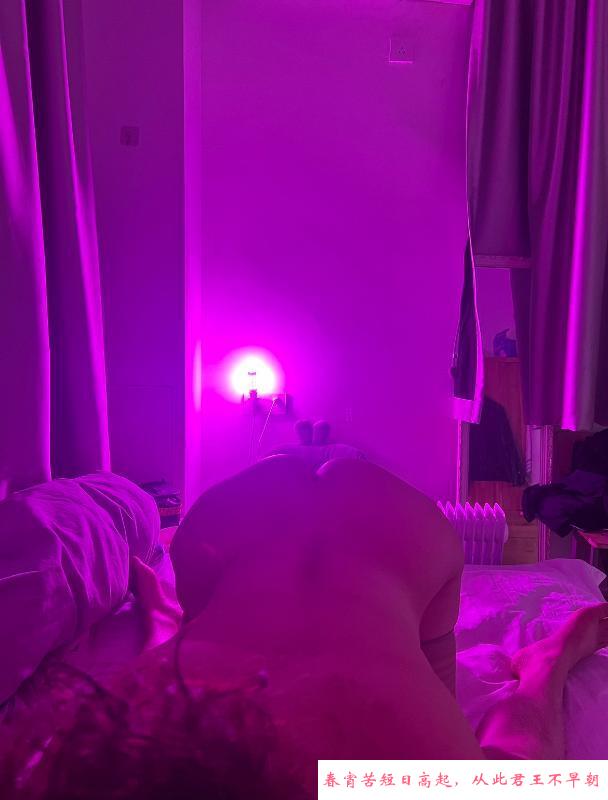 海豚姐姐视觉冲击 第2张