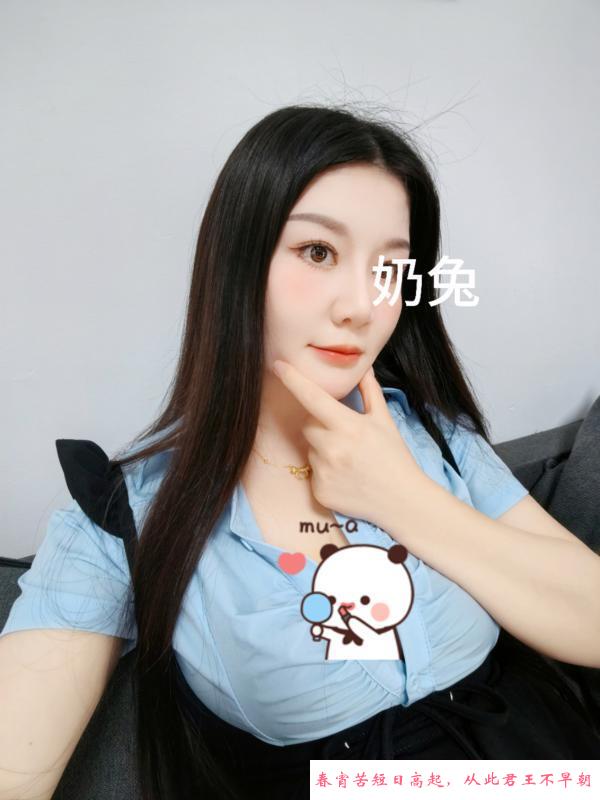 汉口奶兔 第1张