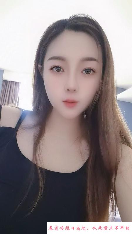 可爱的喵 第2张