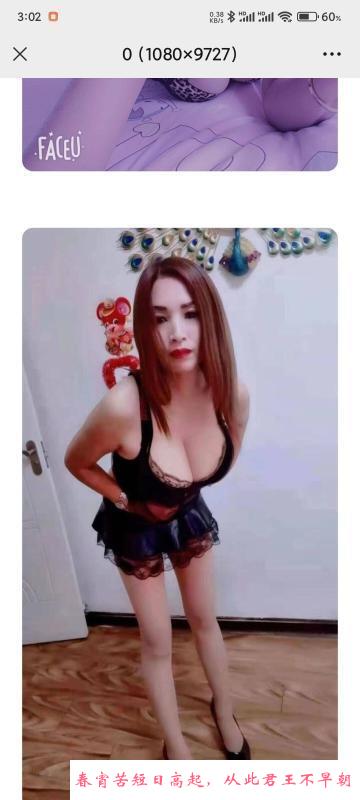 沈阳熟女 第1张