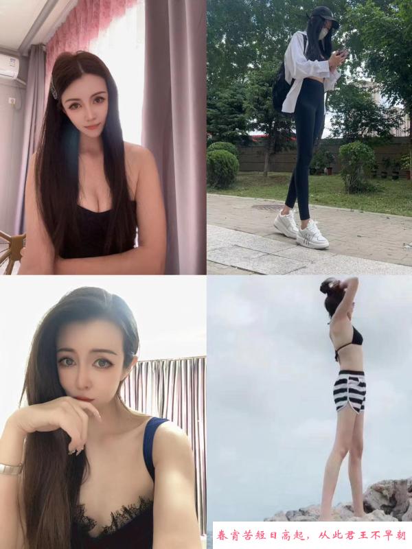 大个漂亮白 第1张