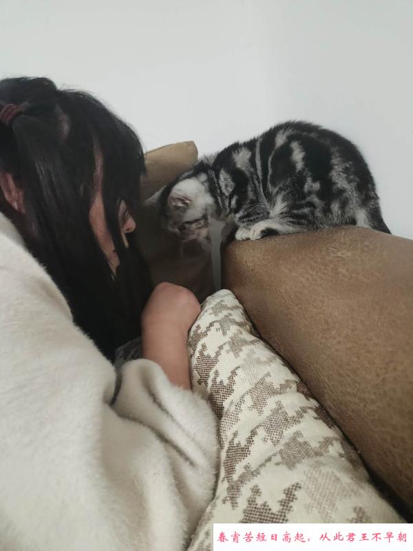 天然e杯小姐姐 第1张