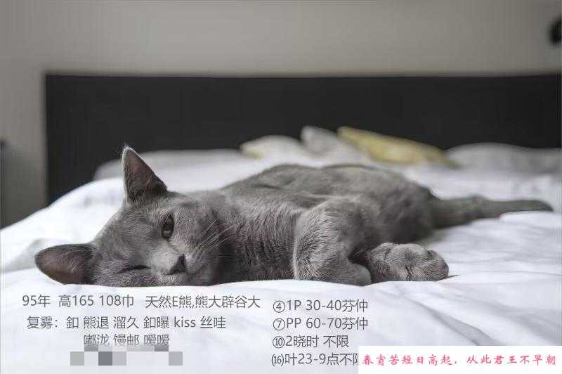 天然e杯小姐姐 第4张