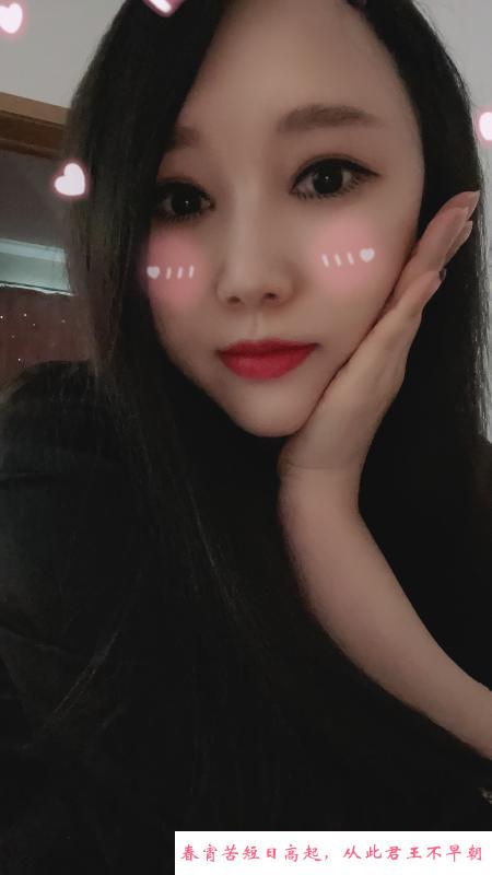 朝阳玫瑰哩哩 第1张