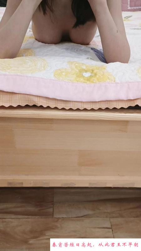 和蔼可亲兔兔 第3张